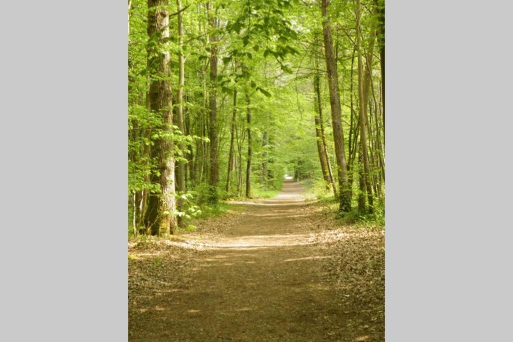 Charmant F2 de 30m2 moin cher à 15min à pied de la forêt, et à 25 min de Paris Le Mée-sur-Seine Exterior foto